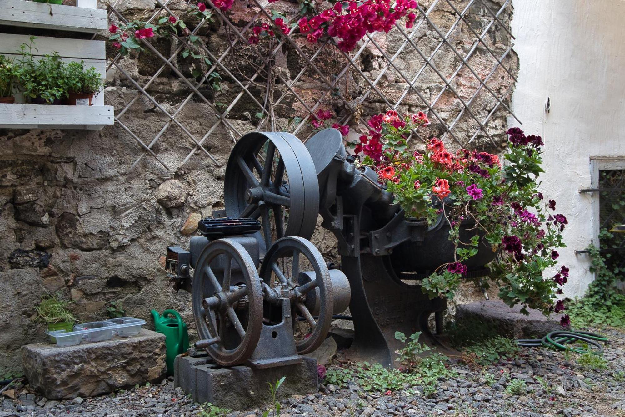 Baglio Antico Forno Hotel Isola di Ustica Kültér fotó